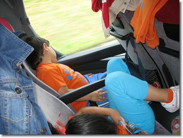 Diapositiva siguiente